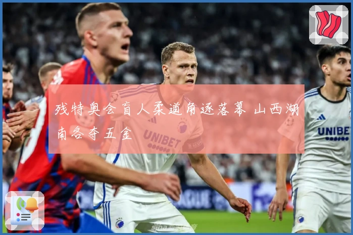 残特奥会盲人柔道角逐落幕 山西湖南各夺五金