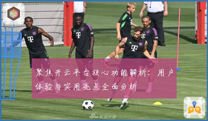 聚焦开云平台核心功能解析：用户体验与实用亮点全面分析