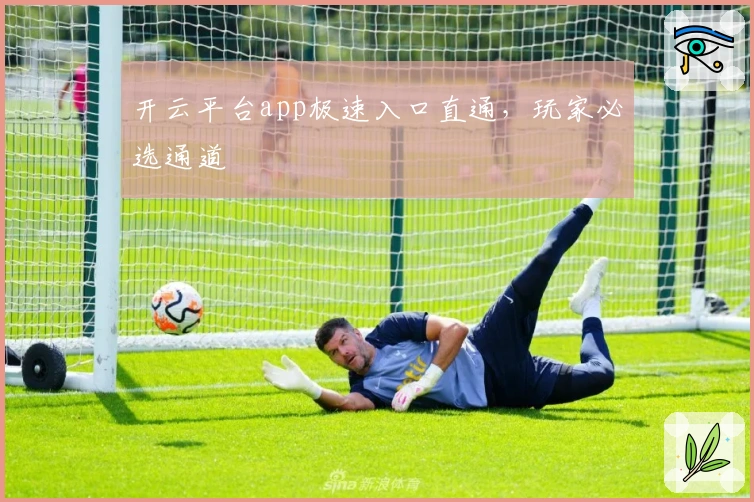 开云平台app极速入口直通，玩家必选通道