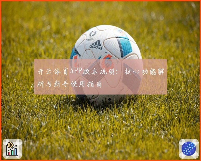 开云体育APP版本说明：核心功能解析与新手使用指南